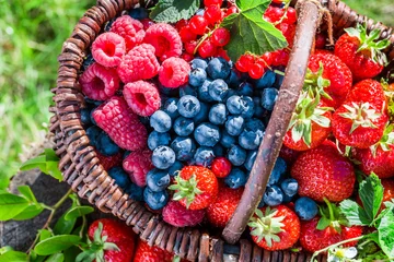  Fresh berries in garden © shaiith