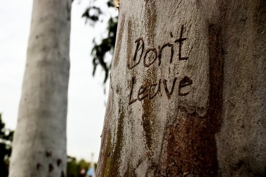 Don't leave