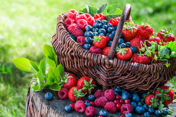 Healthy berries in sunny day