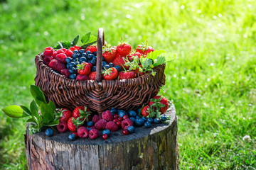 Fototapeta na wymiar Various berry fruits in sunny day