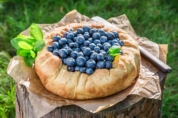 Tasty tart with blueberries in sunny day
