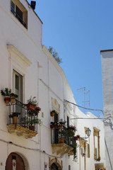 SCORCIO DI OSTUNI IN ITALIA