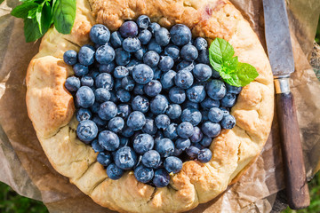 Tasty blueberry pie in sunny day