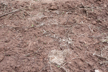 Earth ground covered with compost mulch fragment as a texture ba