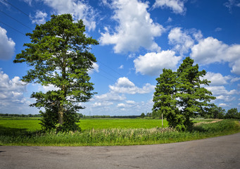 Strassenbiegung