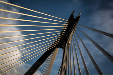 Suspension Bridge - obrazy, fototapety, plakaty