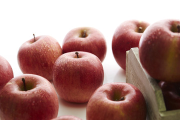apples