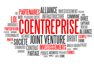 Fototapeta premium Coentreprise (Joint Venture)