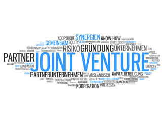 Joint Venture (Kooperation, Anwalt, Consultant)