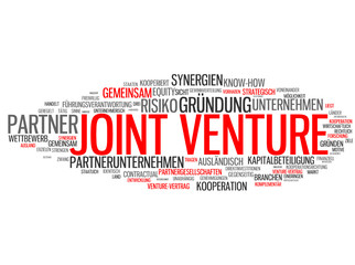 Joint Venture (Kooperation, Anwalt, Consultant)
