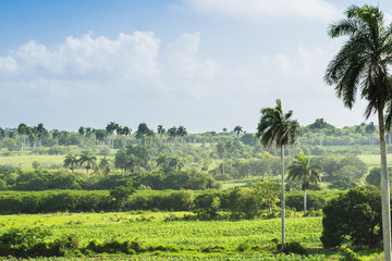 Obraz premium Kuba Landschaft im Landesinneren