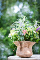 Wiesenblumen im Garten