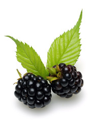 Blackberry