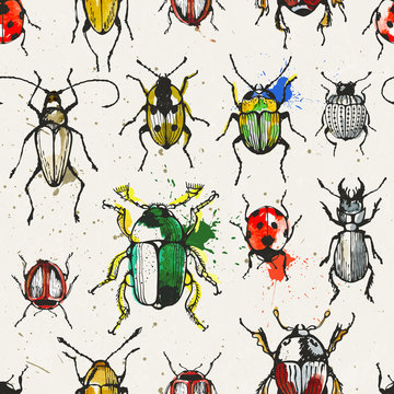 Seamless pattern with beetles.