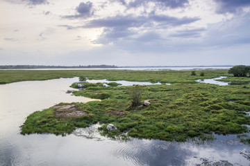 Arugam bay lagoon landscape, Sri Lanka