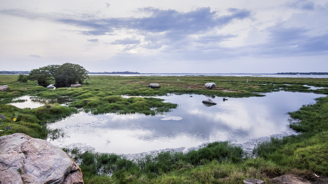 Arugam bay lagoon landscape, Sri Lanka