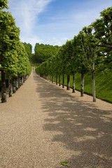 green labyrinth