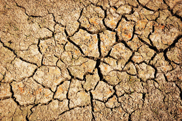 Cracked earth