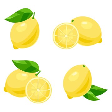 Lemon. Vector