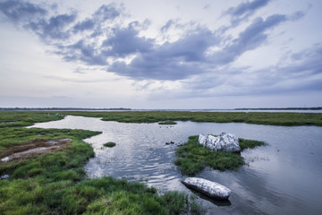 Arugam bay lagoon landscape, Sri Lanka