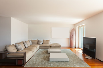 Magnificent large and wide living room with a comfortable sofa for watching television. Nobody inside. A very modern apartment. The floor is made of wood, a completely new parquet.