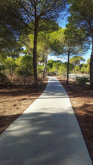 Carril bici en la naturaleza