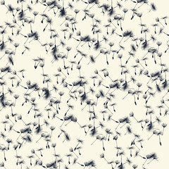 Dandelion seeds background