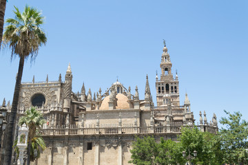 Fototapeta na wymiar Santa Maria de la Sede Cathedral