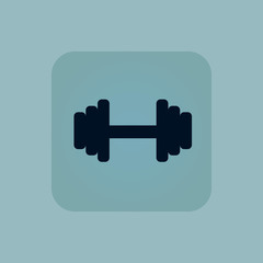 Pale blue barbell icon
