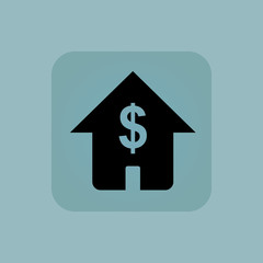 Pale blue dollar house icon