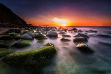 Fototapete bei efototapeten.de bestellen   