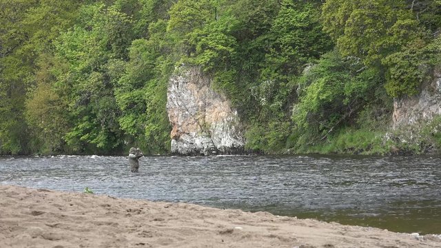 Fliegenfischen im Fluss Spey - Schottland