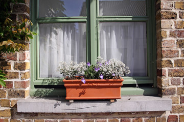 Fototapeta na wymiar blumenkasten und grün gestrichenes holzfenster