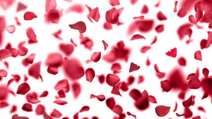 Fototapeta premium rose petals falling