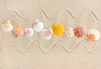 Striped sea shells on the sand,can be used as background