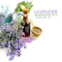 Lavender fresh flowers and lavender oil on white background