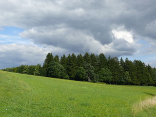 Wälder