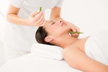 Obraz na płótnie Canvas Attractive woman receiving aloe vera massage 