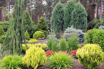 Obraz premium design garden landscape with mix of plants