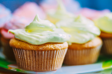 Dessert Sweet Gourmet Cupcakes With Multi-colored Frosting