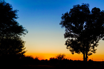Fototapeta na wymiar Sunset in Africa.