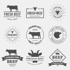 vector set of premium beef labels, badges and design elements