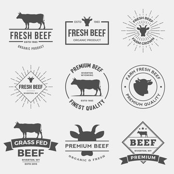 vector set of premium beef labels, badges and design elements