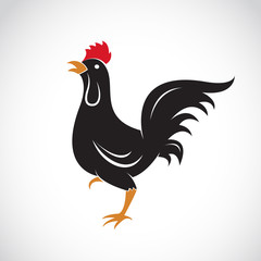 Vector image of an chicken design on white background