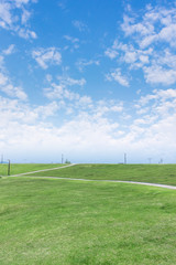 Obraz premium 파란하늘 잔디밭