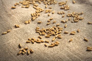 Avena su un piano di tessuto