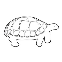 TURTLE OUTLINE VECTOR