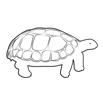 TURTLE OUTLINE VECTOR
