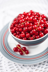 Red currant in the bowl