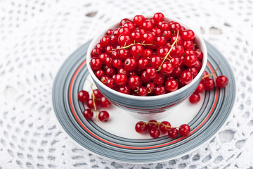 Red currant in the bowl